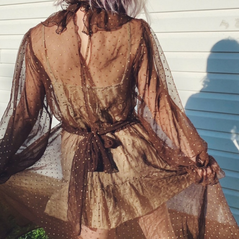Vintage Sheer Polka Dot Dress - Picture 4 of 6